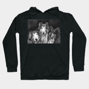 COLLIE TRIO Hoodie